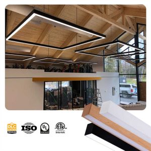 VER2412 Modern Pendant Light
