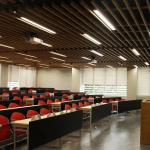 VER2407 Office Library Conference Room Pendant Light