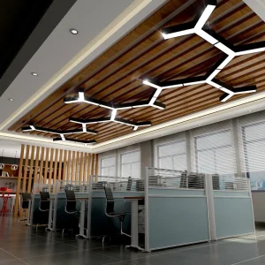 VER2409 Modern Hanging Pendant Light Contemporary Acrylic
