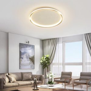 VER2373 Circular Minimalist Metal Silica Gel LED Flush Mount